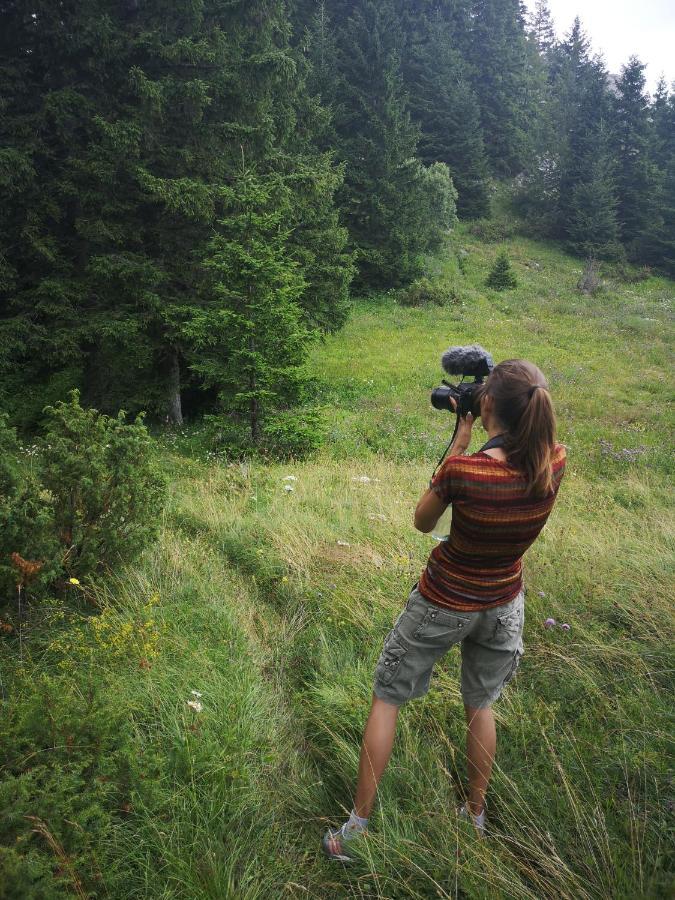 Zlatarske Brvnare Zlatar Chalets Nova Varos Ngoại thất bức ảnh